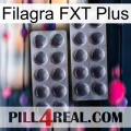 Filagra FXT Plus 31